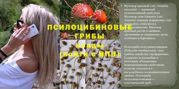 jwh Новодвинск