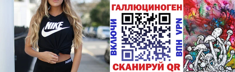 как найти   Клинцы  Галлюциногенные грибы Psilocybe 