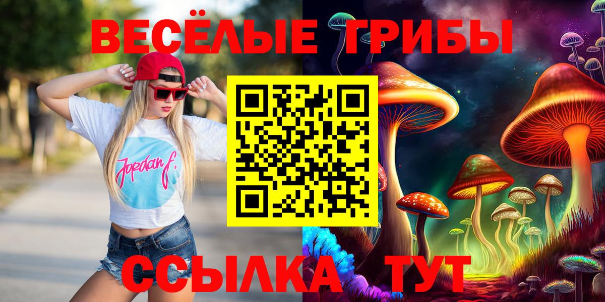 Галлюциногенные грибы GOLDEN TEACHER Клинцы
